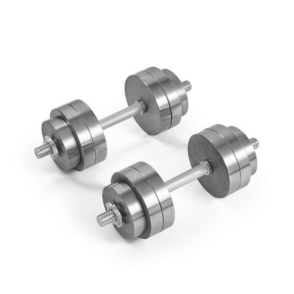 Комплект металлических гантелей Model Progressive 40 кг (2&times;20 кг) A2-DS-401-3057165968 фото